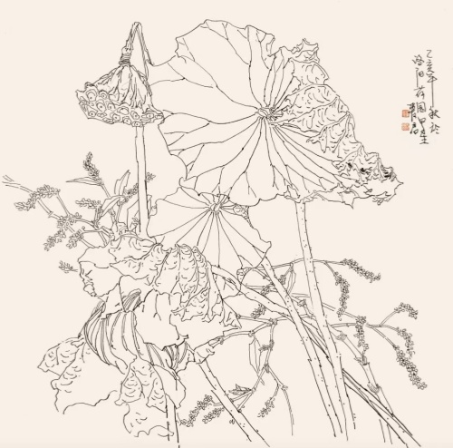 爱君一.jpg