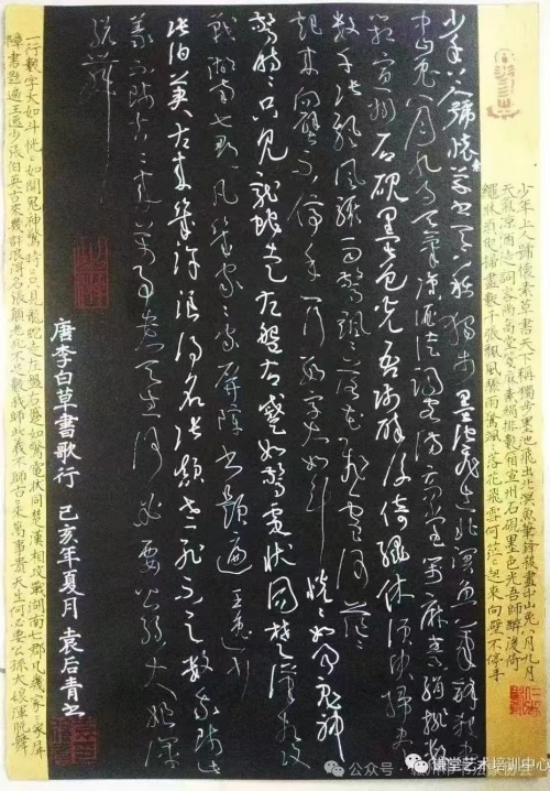 袁后青.jpg