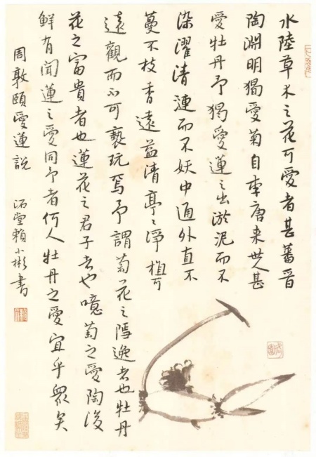 小兵二.jpg