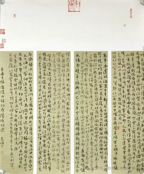 彭瑶.jpg