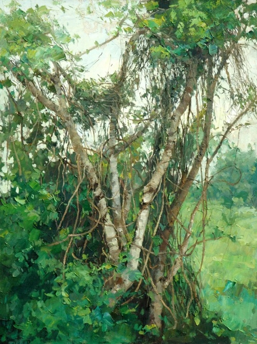 91.jpg