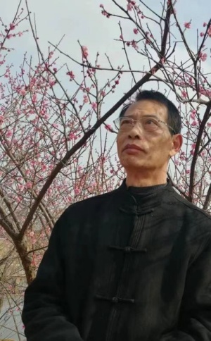 15.jpg