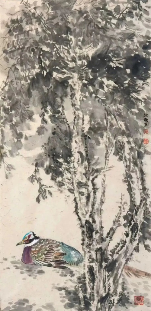215.jpg